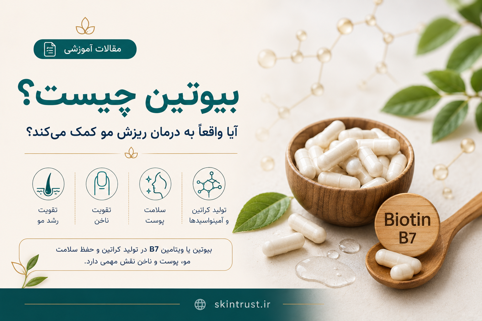 بیوتین چیست؟ آیا واقعاً به درمان ریزش مو کمک می‌کند؟