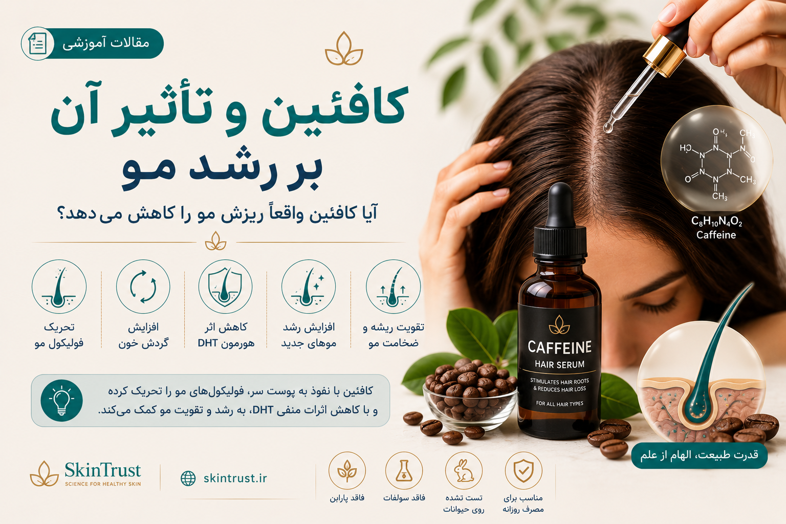کافئین و تأثیر آن بر رشد مو | آیا کافئین واقعاً ریزش مو را کاهش می‌دهد؟